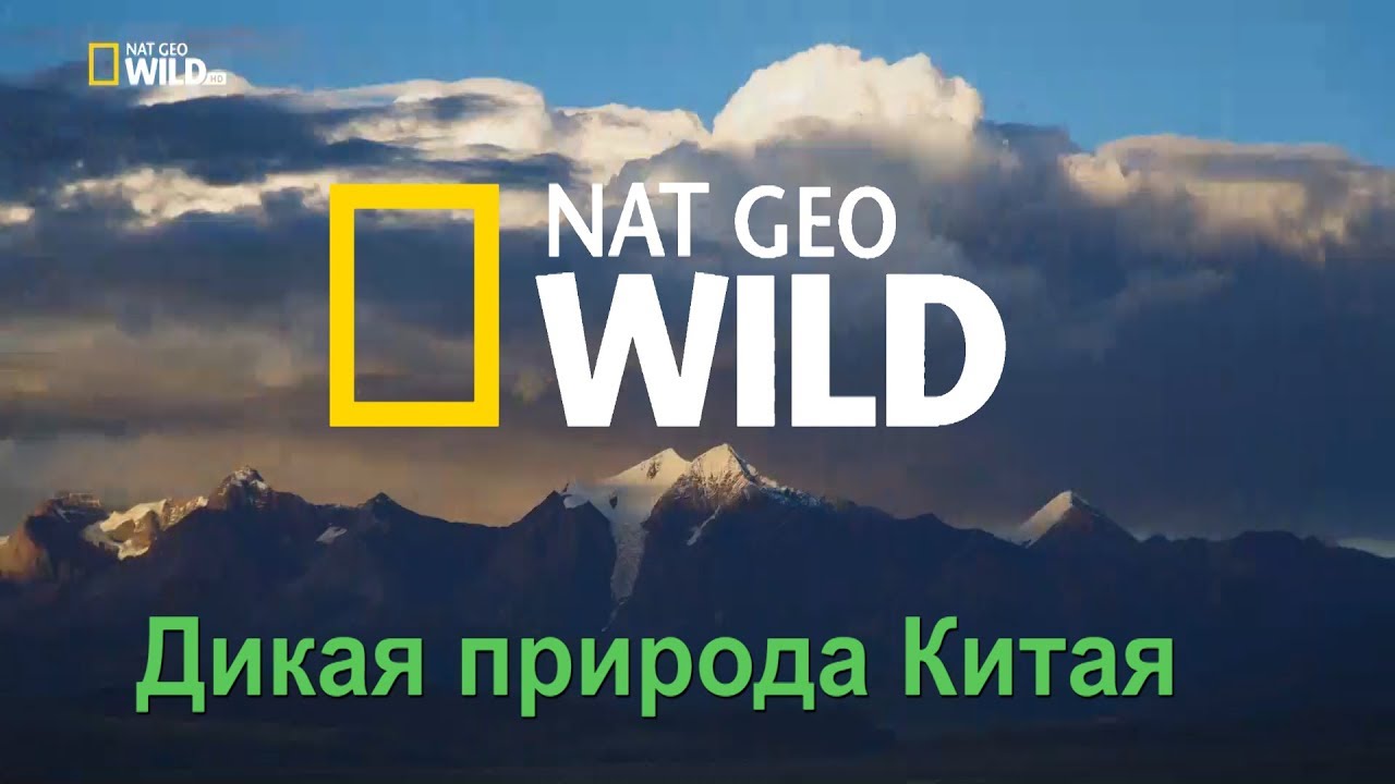 Nat Geo Wild: Дикая природа Китая. Царство дикой природы Тибета / China’s wild side