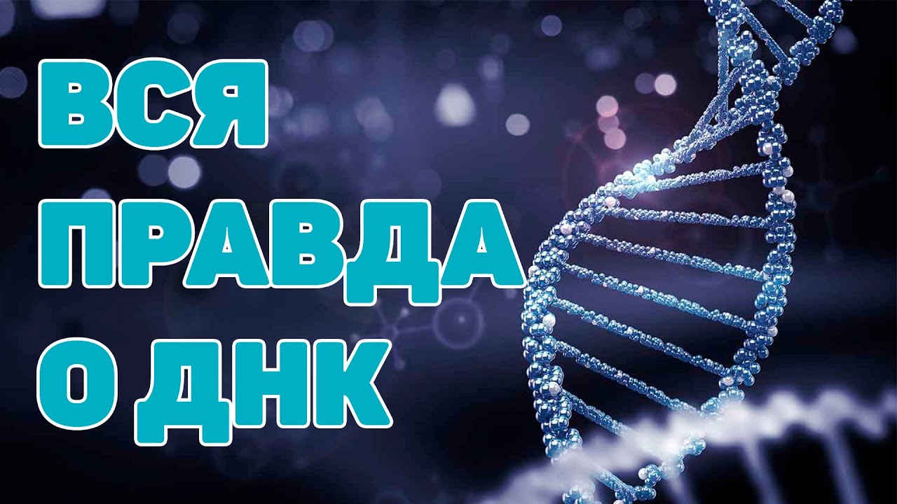 Великая Тайна ДНК | Документальный фильм