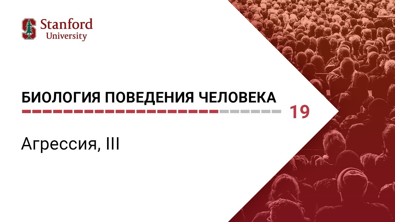 Биология поведения человека: Лекция #19. Агрессия, III [Роберт Сапольски, 2010. Стэнфорд]