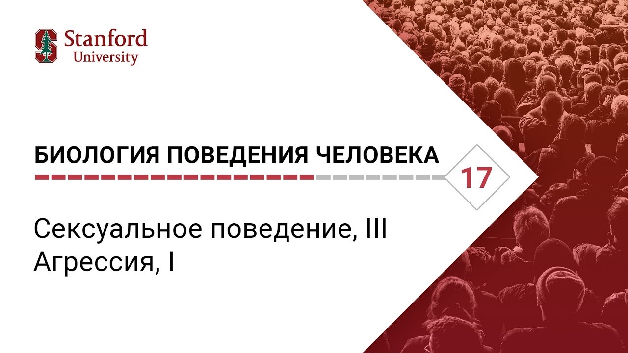 Биология поведения человека: Лекция #17. Сексуальное поведение, III; Агрессия, I [Роберт Сапольски]