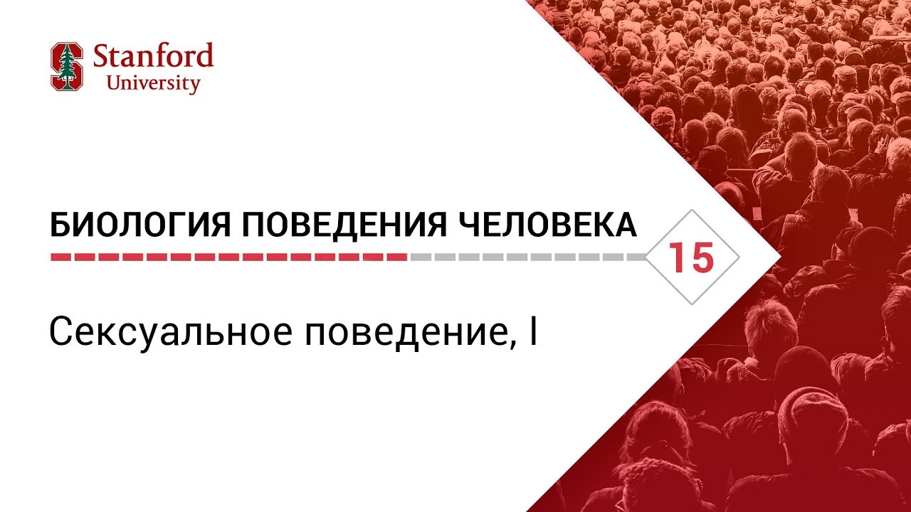 Биология поведения человека: Лекция #15. Сексуальное поведение, I [Роберт Сапольски, 2010. Стэнфорд]