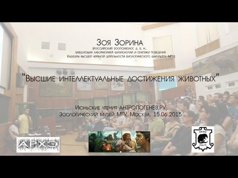 Зоя Зорина: «Высшие интеллектуальные достижения животных»