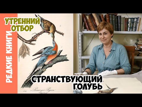 Самое массовое уничтожение вида. Варвара Миронова