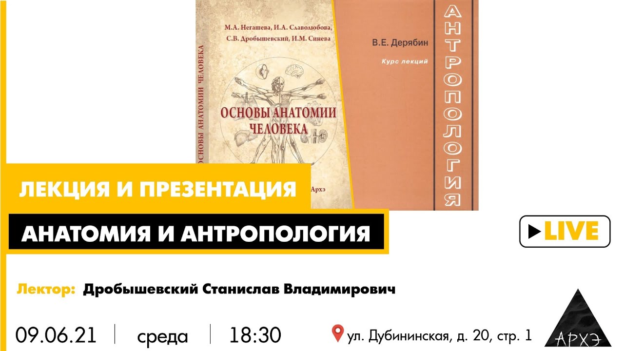 Лекция Станислава Дробышевского в рамках презентации новых книг об анатомии и антропологии