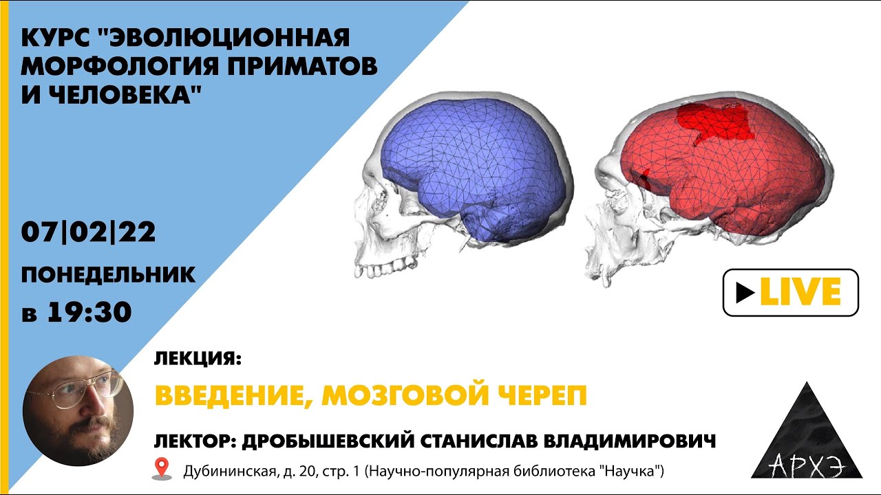 Станислав Дробышевский «Введение, мозговой череп» курс «Эволюционная морфология приматов и человека»