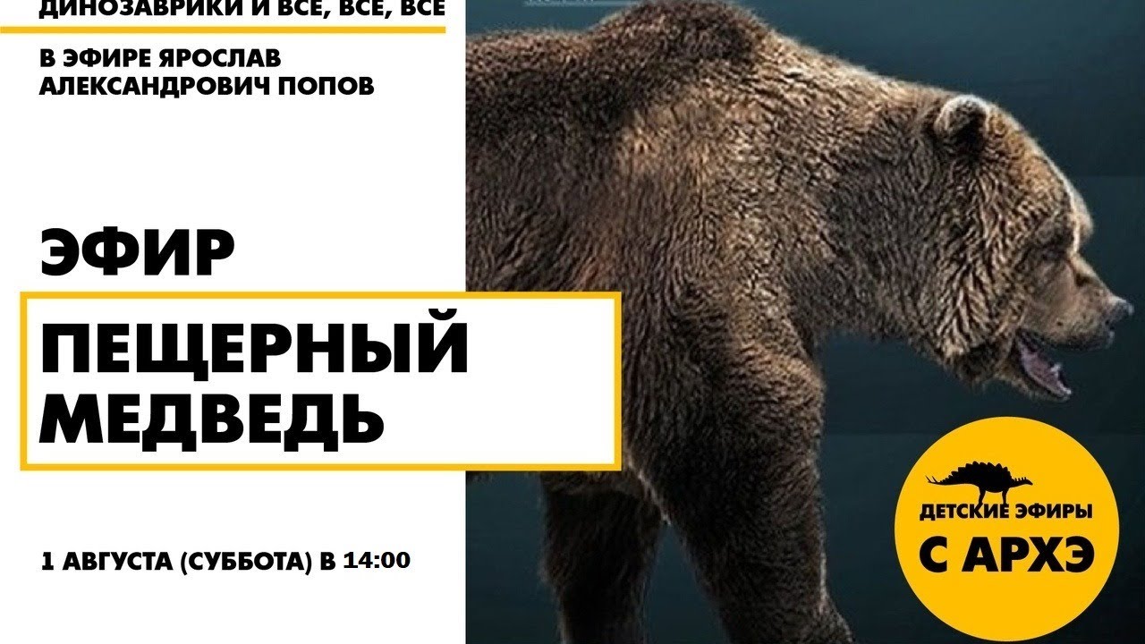 Детский эфир «Пещерный МЕДВЕДЬ» в рамках рубрики «Динозаврики и все, все, все»