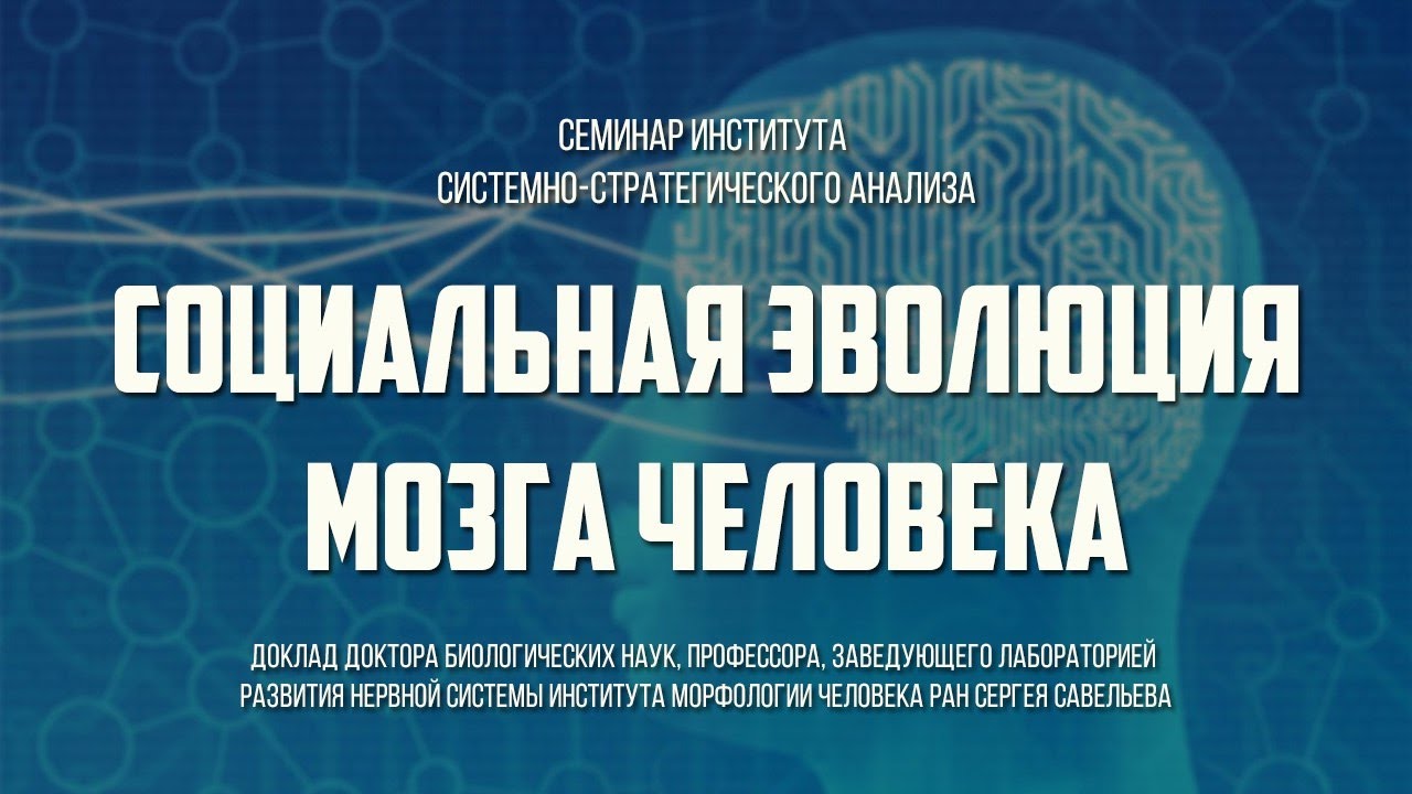 Сергей Савельев. «Социальная эволюция мозга человека»