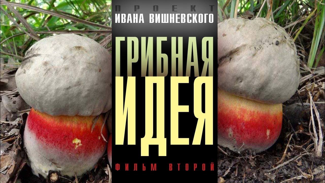 Грибная идея. Проект Ивана Вишневского. Фильм 2-й. Крымские грибы-самоцветы