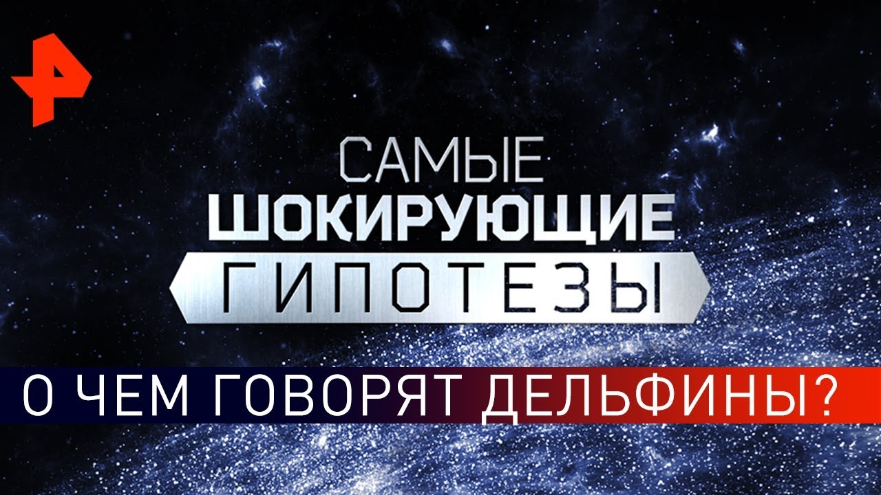 О чем говорят дельфины? Самые шокирующие гипотезы (22.10.2019).