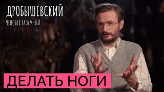 Как наши предки перемещались в пространстве // Дробышевский. Человек разумный