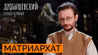 Как ученые придумали матриархат // Дробышевский. Человек разумный