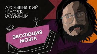 Эволюция мозга // Дробышевский. Человек разумный