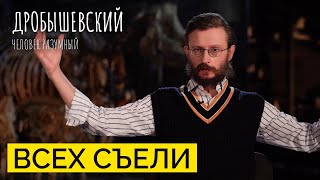 Почему вымерли животные? // Дробышевский. Человек разумный