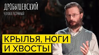 Какие звери окружали древних людей? // Дробышевский. Человек разумный