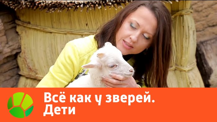 Все как у зверей. Дети | Живая Планета