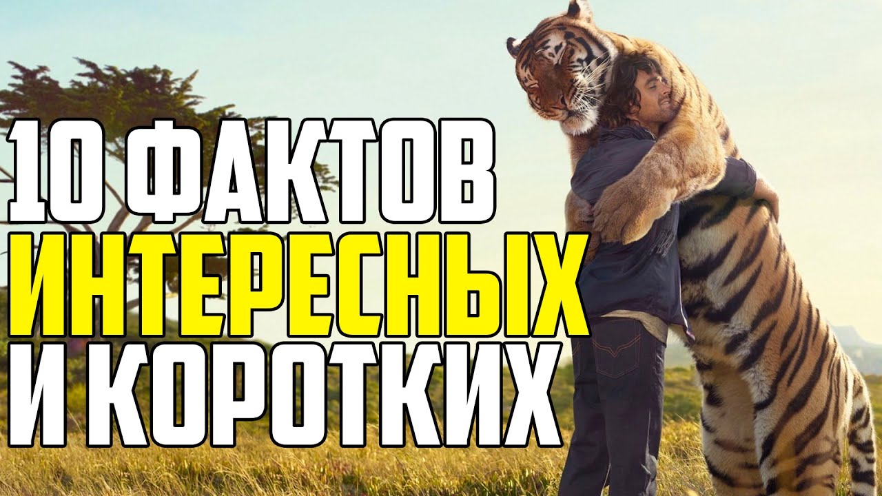 КОРОТКИЕ ФАКТЫ. 10 ИНТЕРЕСНЫХ ФАКТОВ