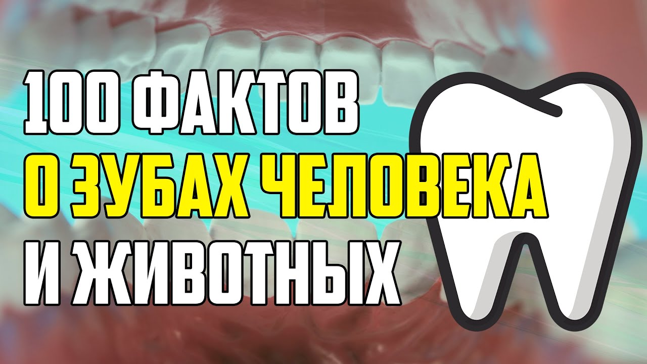 100 НЕОЖИДАННЫХ ФАКТОВ О ЗУБАХ ЧЕЛОВЕКА И ЖИВОТНЫХ