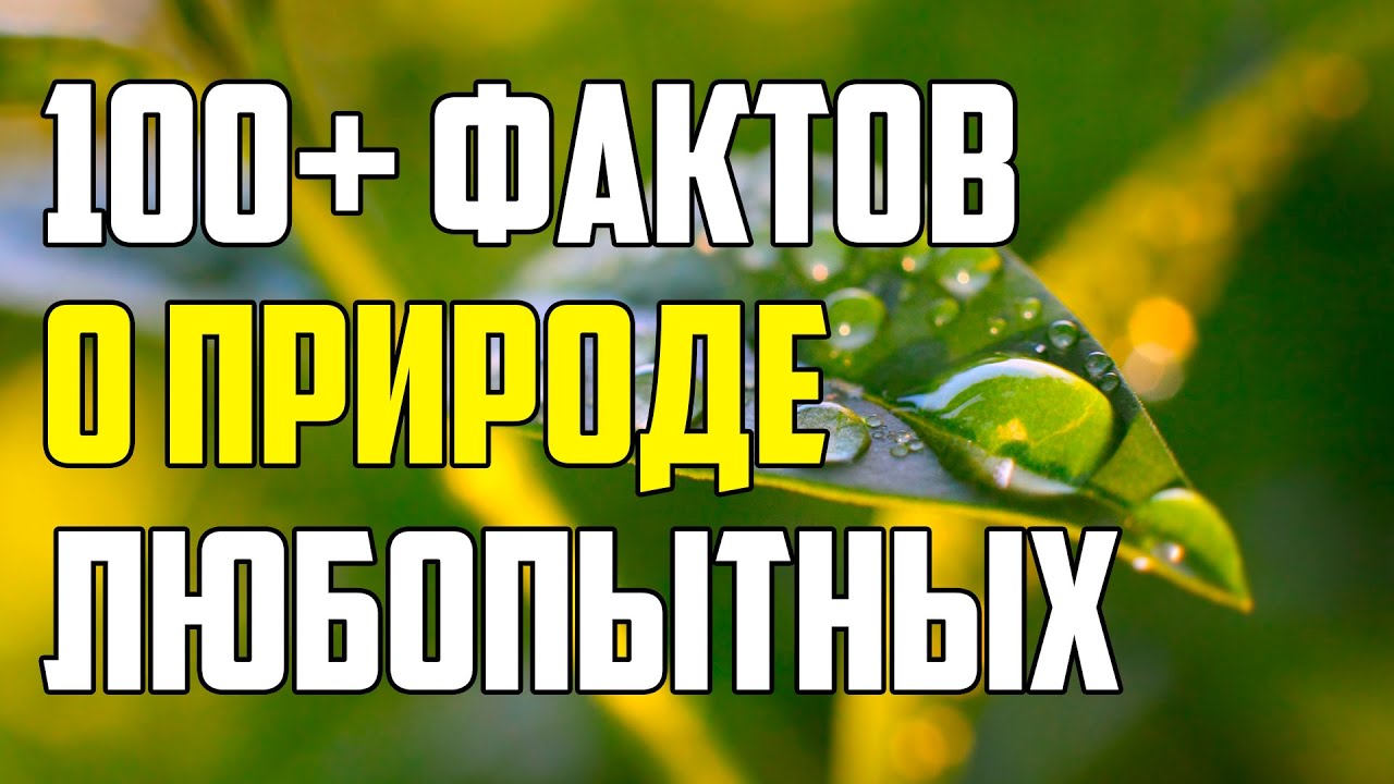 100+ ЛЮБОПЫТНЫХ ФАКТОВ О ПРИРОДЕ