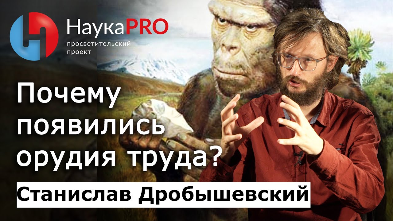 Почему древние люди начали изготавливать орудия труда? – Станислав Дробышевский | Научпоп | НаукаPRO