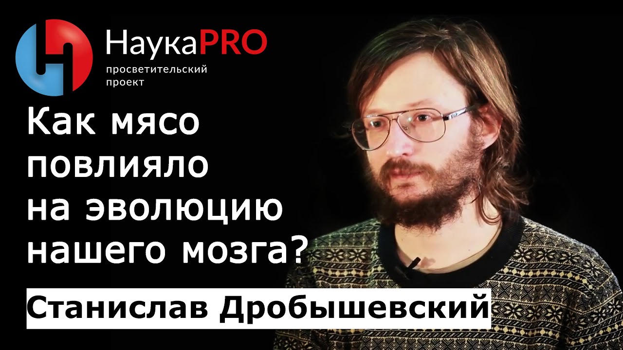 Ускорение эволюции мозга из-за перехода на мясную пищу – антрополог Станислав Дробышевский | Научпоп