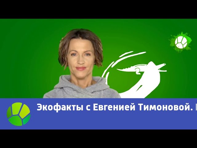 Экофакты с Евгенией Тимоновой. Выпуск-2 | Живая Планета