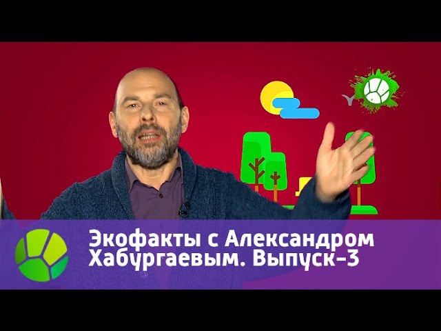 Экофакты с Александром Хабургаевым. Выпуск-3 | Живая Планета