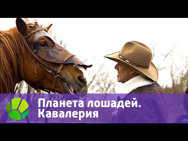 Планета лошадей. Кавалерия | Живая Планета