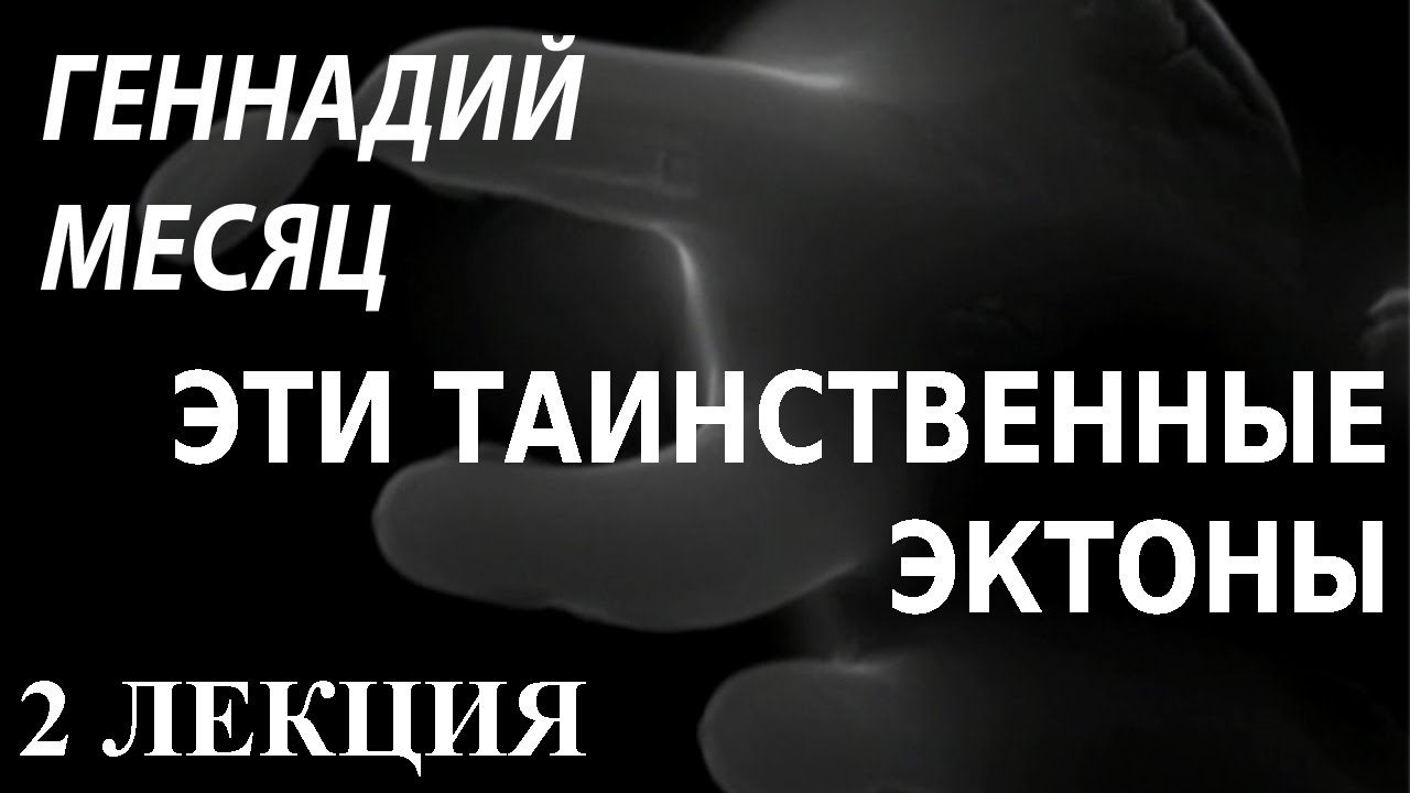 ACADEMIA. Геннадий Месяц. Эти таинственные эктоны. 2 лекция. Канал Культура