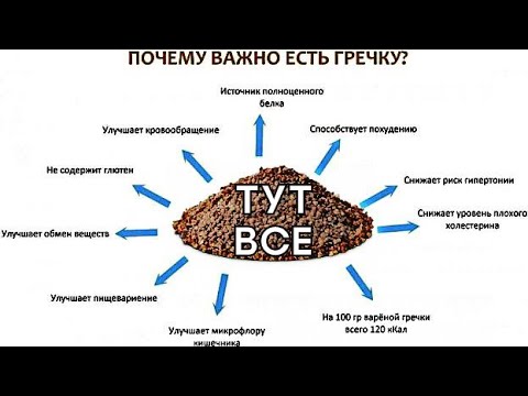 ЧЕМ ПОЛЕЗНА ГРЕЧКА универсальный продукт для полноценного здоровья человека