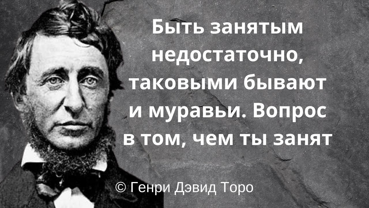 Есть над чем поразмышлять. Генри Дэвид Торо, американский философ. Цитаты и афоризмы