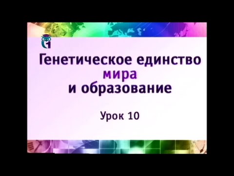 Наука и образование. Урок 10. Мать и дитя — методология и метод