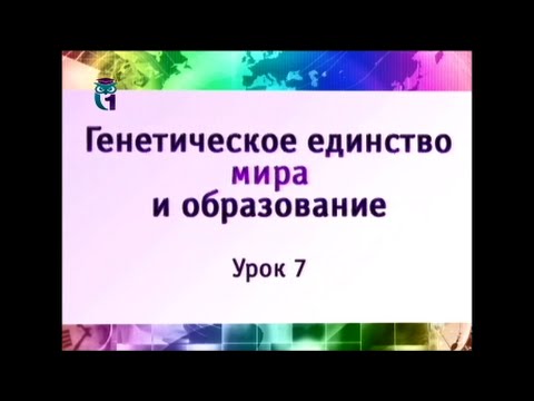 Наука и образование. Урок 7. Ноосферное образование — педагогика будущего