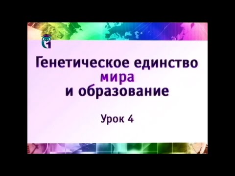 Наука и образование. Урок 4. Целостное мышление, или Золотой ключик творчества