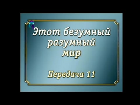 Законы мироздания. Передача 11. Свет. Отражение. Преломление