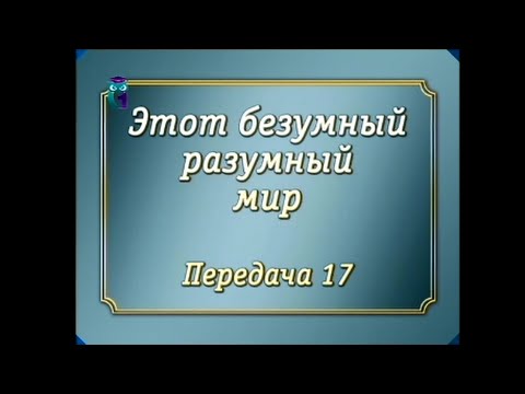 Законы мироздания. Передача 17. Внутрь материи. Молекулы. Атомы