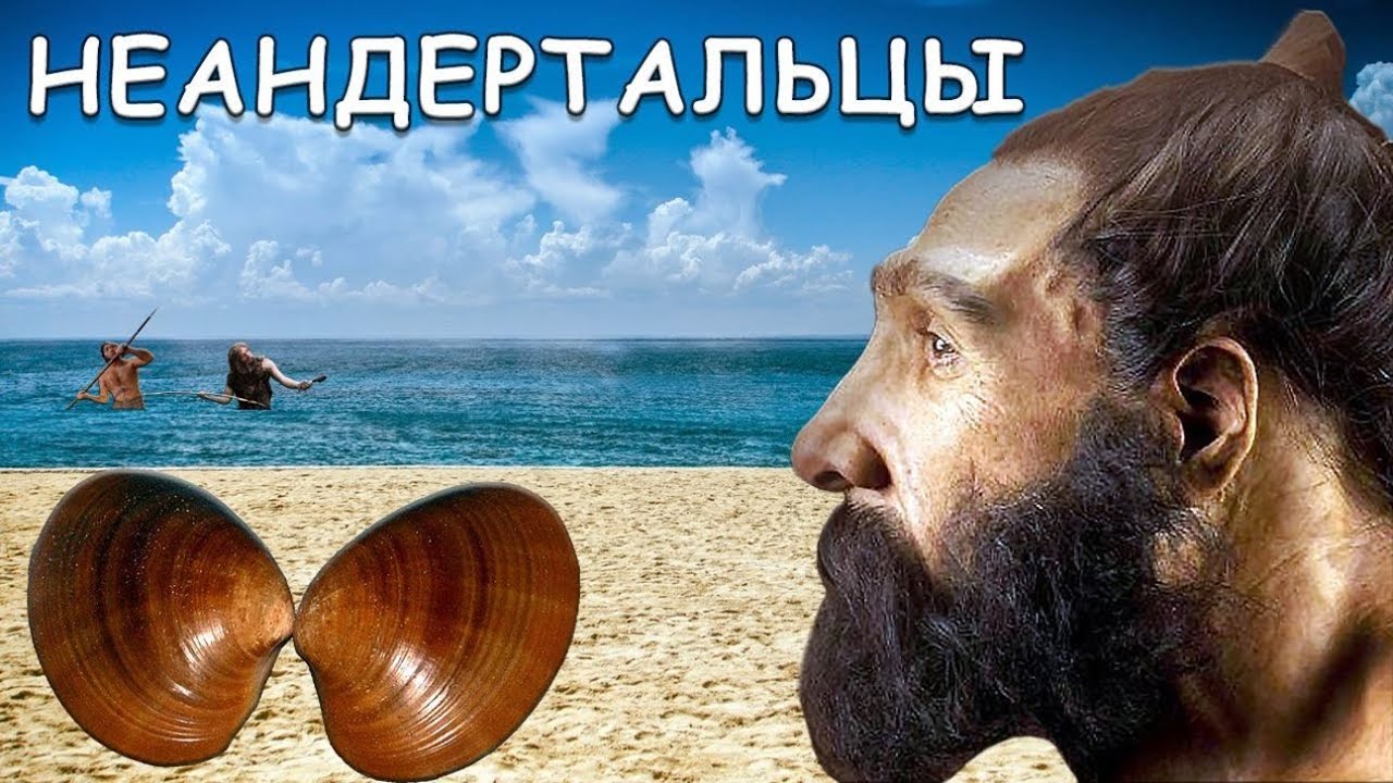 Неандертальцы — жизнь у моря и использование морских ресурсов