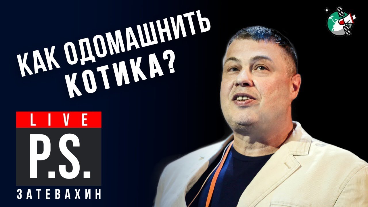 Как одомашнить котика? #Постскриптум: Иван Затевахин отвечает на вопросы об эволюции кошачьих