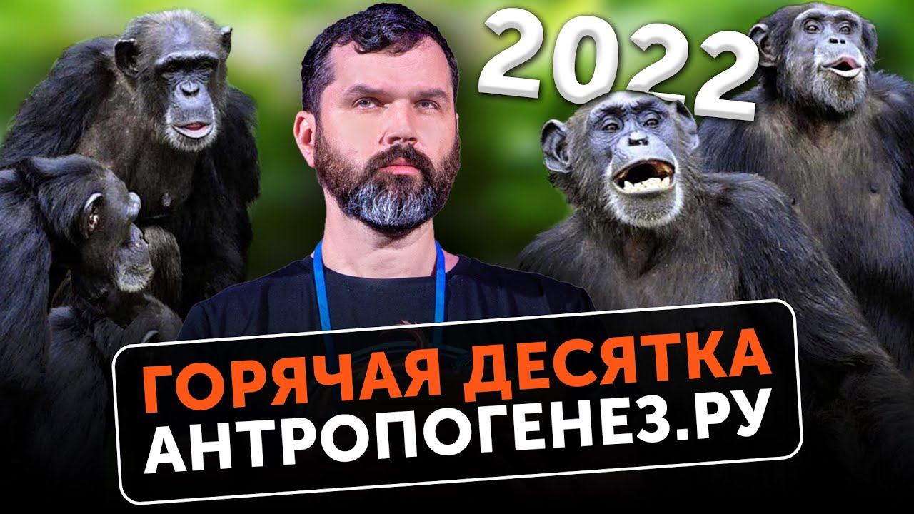 ДНК возрастом 2 000 000 лет | Шимпанзе лечат раны | Антропология и археология: Топ-10 открытий 2022