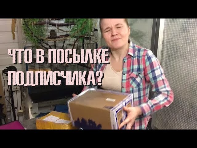 Распаковываем посылки! Две посылки и три сюрприза.