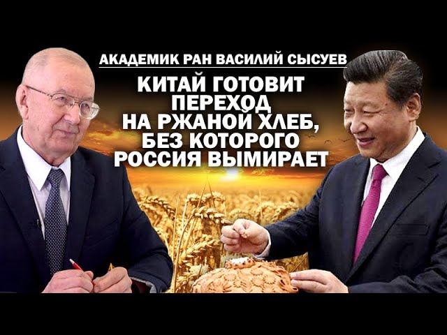 В. Сысуев, академик РАН. Китай переходит на ржаной хлеб. Без него Россия начала вымирать / #ЗАУГЛОМ